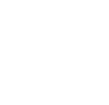 Volt